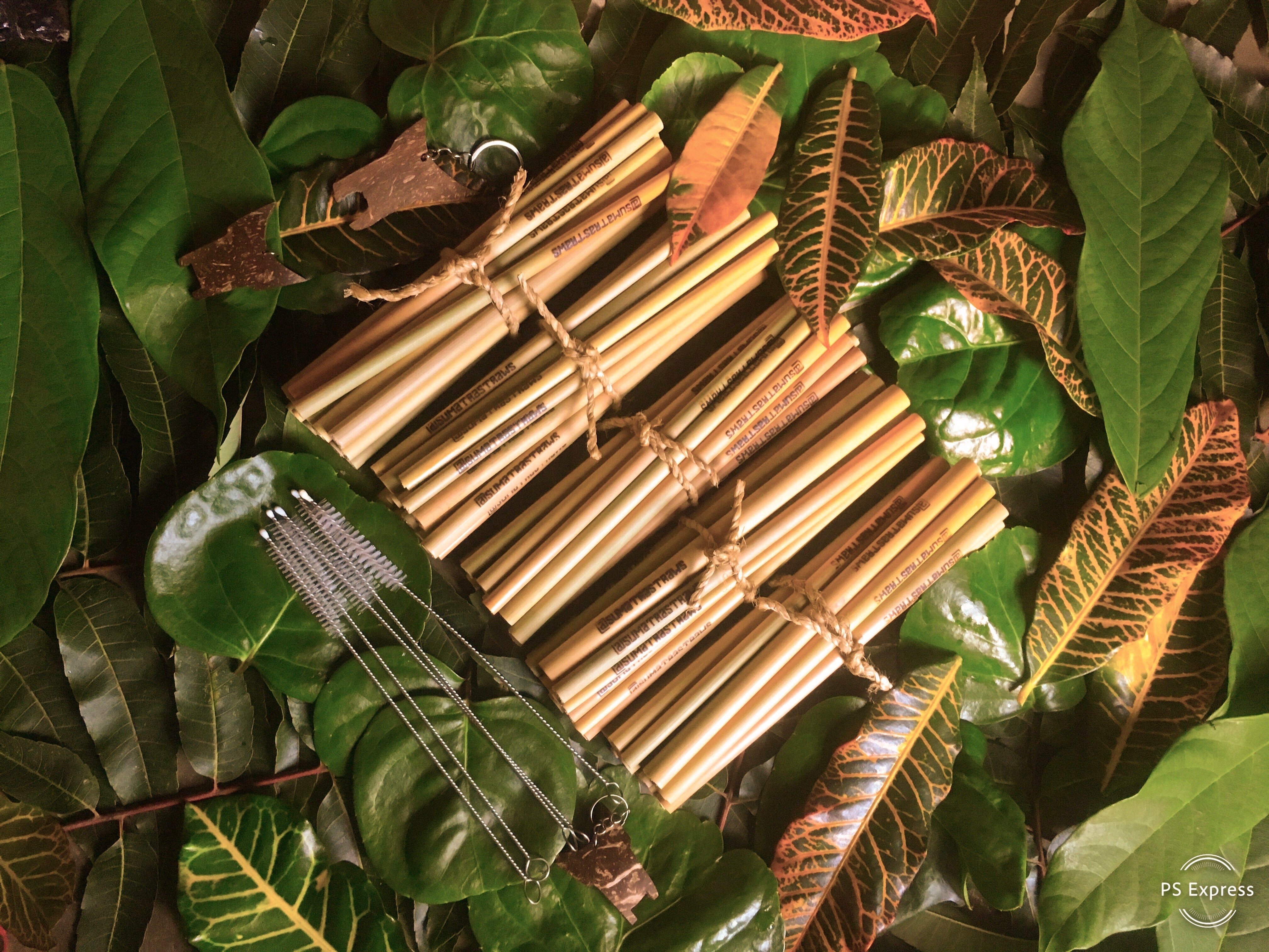 Organic Bamboo Straws (50pcs) FREE Brush Cleaner - Ecofrenli.com