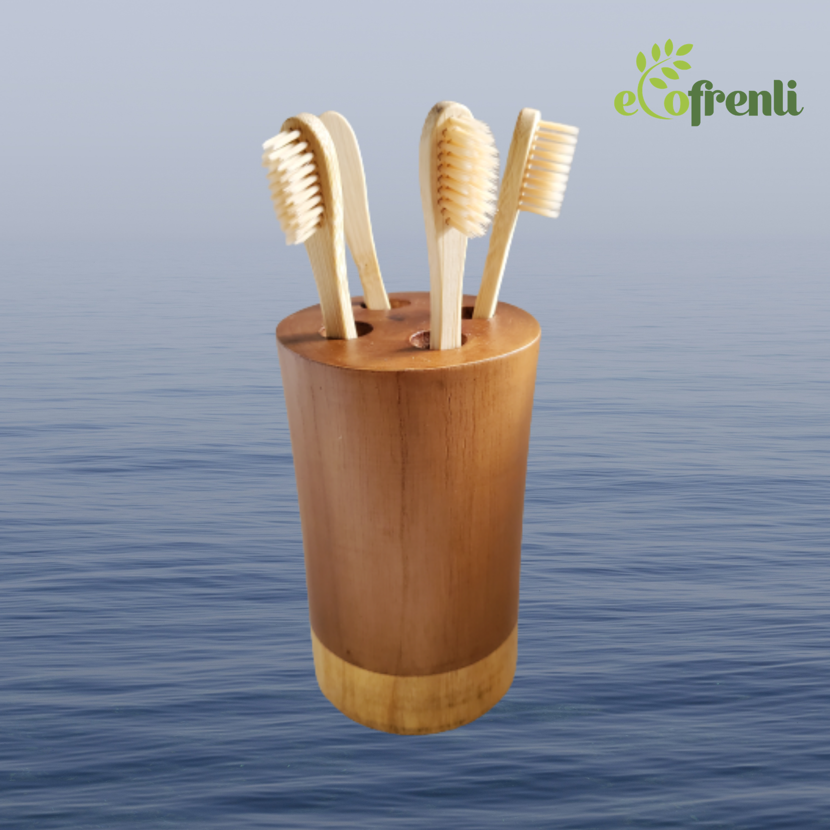 Family Toothbrush and Wooden Holder set - Ecofrenli.com