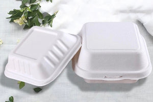 Eco Takeaway Burger size Box-100pcs - Ecofrenli.com