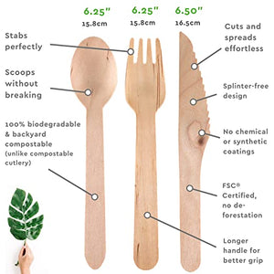Disposable Wooden Spoon (500pcs) - Ecofrenli.com