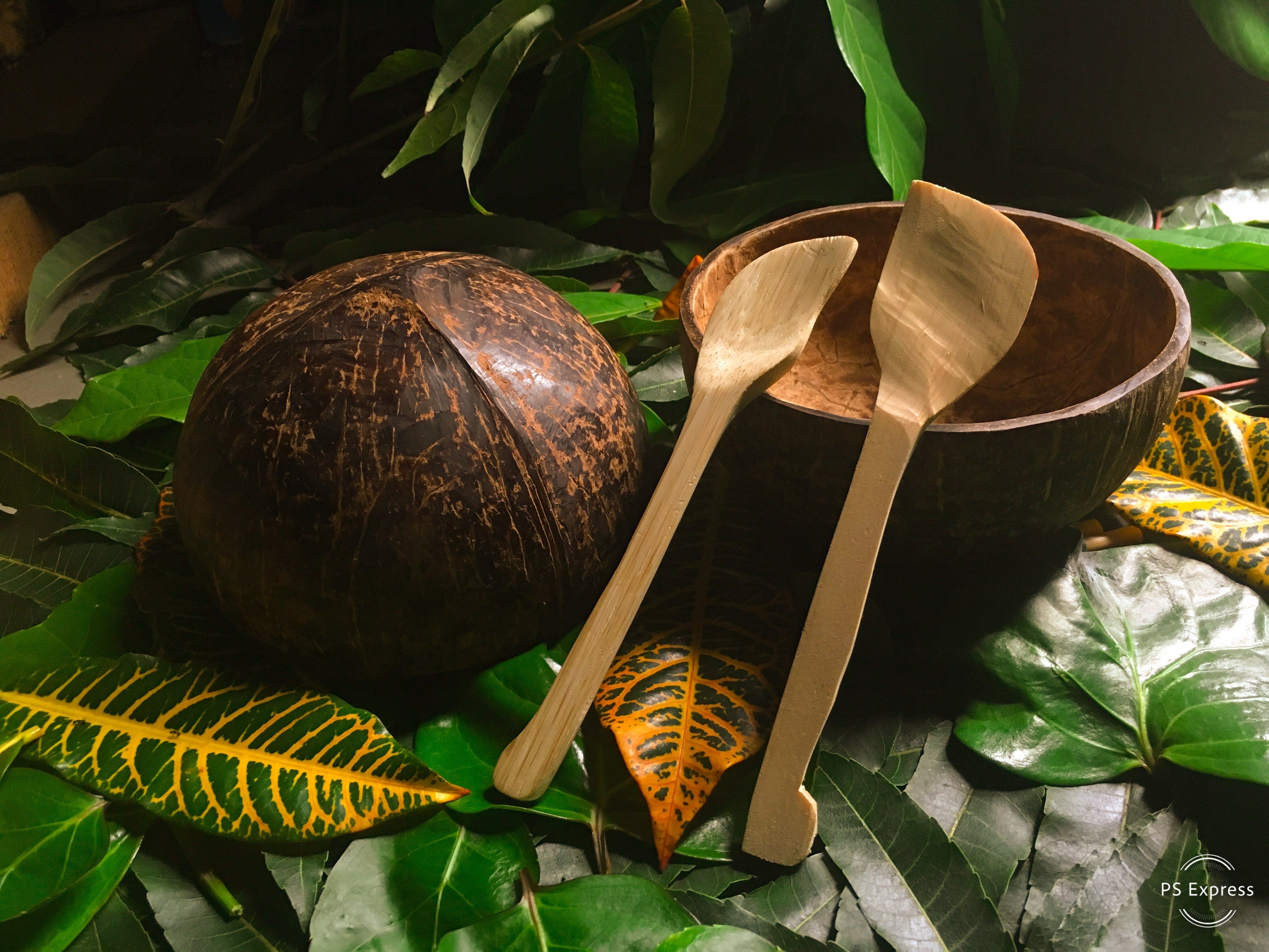 Organic Coconut bowl & spoon set - Ecofrenli.com