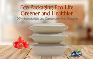 Eco Takeaway Food Box 3 Compartments-100 pcs - Ecofrenli.com