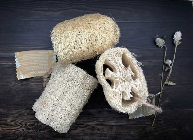 Organic loofah / sponges dish cleaner (3 pcs) - Ecofrenli.com